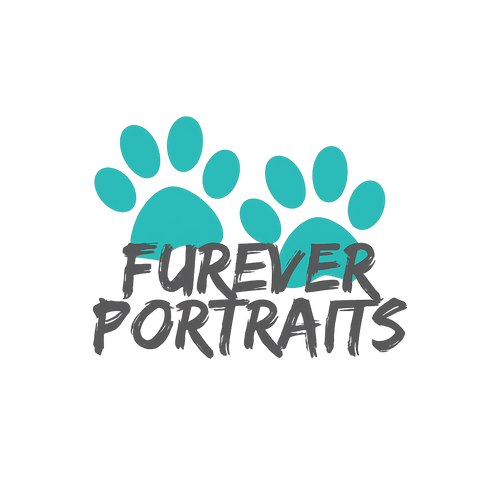 Furever portraits